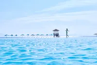 Regal Palace Resort - Romantic