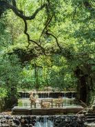 宏村塔川書院·稻亭溪竹美宿