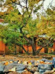 Tengchonghan Yabanshan Hot Spring Private Villa Homestay