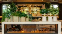 柏林庫達姆希爾頓逸林飯店及度假村 - 酒吧