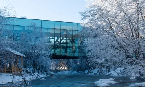 Zhi Resort • Riverside