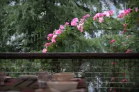 Elegant Hotel - Scenic