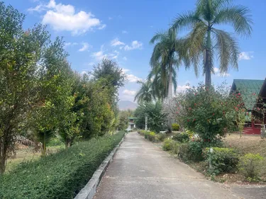 รูปภาพของปาย ฮิลล์ไซด์ รีสอร์ท