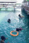 Starz Water Village - Pools