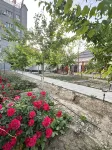 Huorgos Linyi Fruit Language Homestay