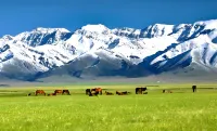 Bayanbulak Silver Stirrup Hotel - Mountain view