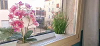 Hotel Tito - 3-Star