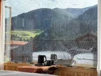 Daofu Mengzhong Leyuan Homestay