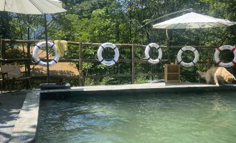 Dujiangyan Wuzhigu Homestay