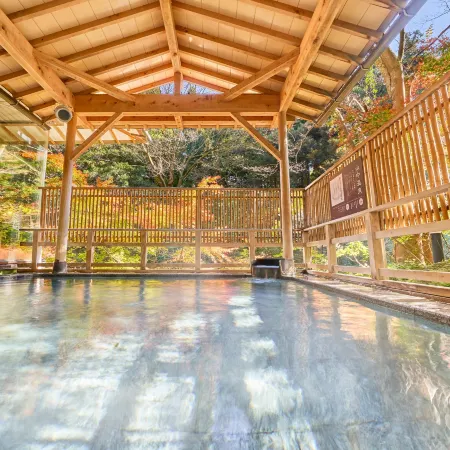 Ooedo Onsen Monogatari Premium Yoshinoya Irokuen(Old:Yukai Resort Premium Yoshinoya Irokuen)