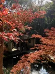 ANYU Hotel - Hangzhou West Lake - Dağ Manzaralı