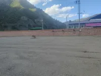 Zhuluzhongyuan Homestay (Zagulu Town)