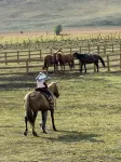 Zanjue · Songman Homestay - Bjergudsigt