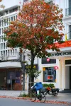 Dreamora Corner Hotel - WiFi