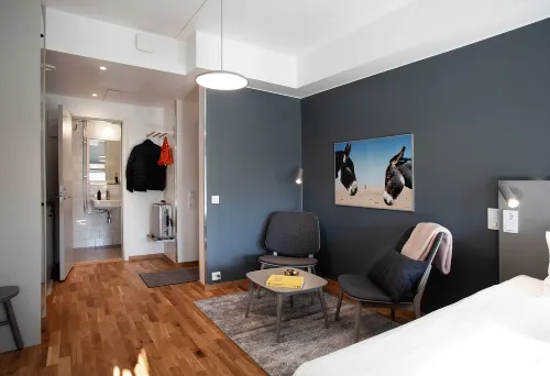 First Hotel the Studio - صديق للحيوانات الاليفة