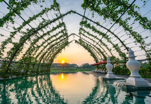 1. 탄 웰니스 데스..