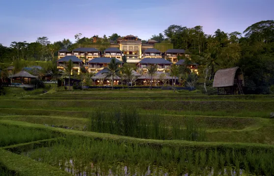 曼答帕麗思卡爾頓隱世酒店