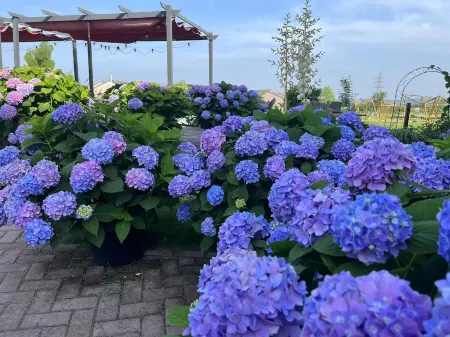 GLEANER HOUSE HOTEL（Nanjing xujiayuan） Отели рядом с достопримечательностью «Jinling Xiaocheng»