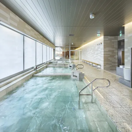 Villa Fontaine Grand Tokyo Ariake