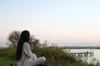 The Zen Wellness Resort Hotels in New Aswan
