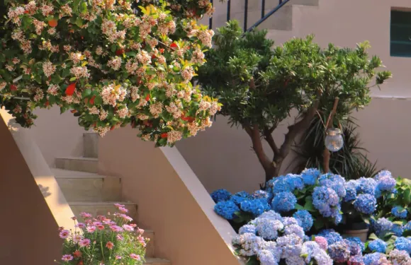 拈花·心舍民宿（深圳較場尾店）