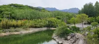Qiao Qiao Meishu Homestay