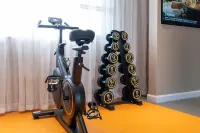 Vienna Hotel (Weishi County Government) - Gym