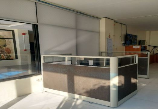 세부 알코이 플라자 에코 파크 전경