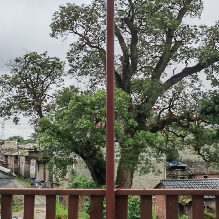 Jizhou Kiln is not far away, living in the beautiful countryside