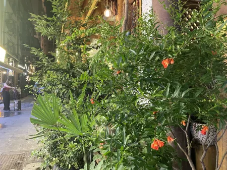 Lixiang Homestay (Zhangjiajie Tianmenshan Cableway Station Store) Отели рядом со станцией Zhangjiajie West Station