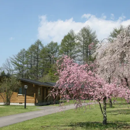 Karuizawa Prince Hotel West