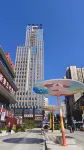 Shenhang International Hotel - Pet friendly