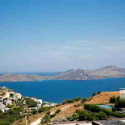BD417-6 Bedroomed Villa With Pool in Yalikavak Hotel Exterior