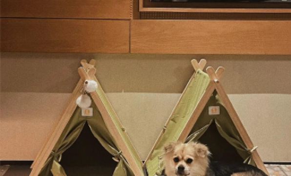 Wild Hidden Mountain Homestay