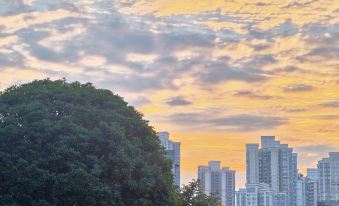 Vienna Hotel (Chongqing Shangqing Temple Niujiaotuo Light Rail Station)