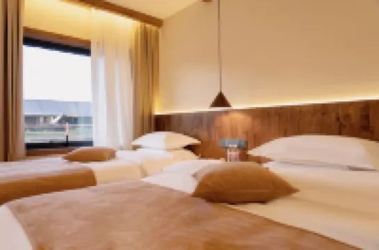 森脈設計師咖啡民宿(喀納斯景勝地) カナストゥワ村周辺のホテル