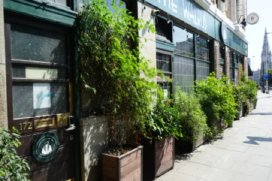 海象酒吧及青年旅館