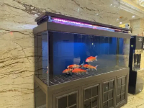 庫爾勒樂瑞飯店（香梨大道巴州博物館店）