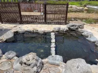 Misasa Royal Hotel - Mountain view