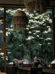 Tree Summer 13 · Summer Wood Forest Oxygen Healing Inn (Ya’an Bifen Gorge Branch) - breakfast