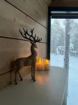 Levi Nordic Star Igloos