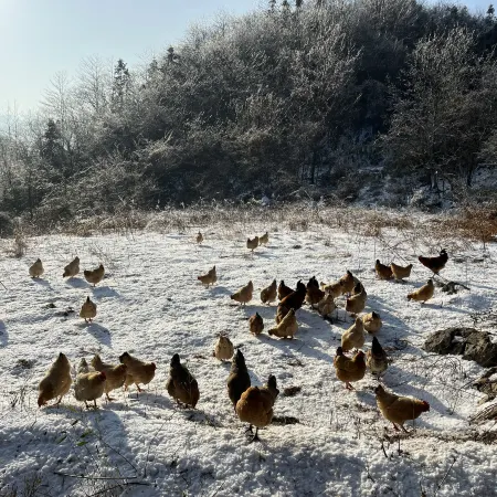 Yunyin Sancheng Homestay