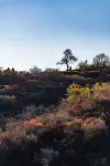 BRIGHT.QI HOTELS&RESORT - Bergblick