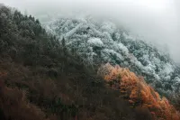 Tipsy Panda Mountain spring Villa - Mountain view