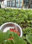 Seaside Yunshan B&B Hotels in Xiaochangshan Island