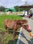 โรงแรมยาบูโลนี ย่าบูลี่ - ที่มีฟิตเนส