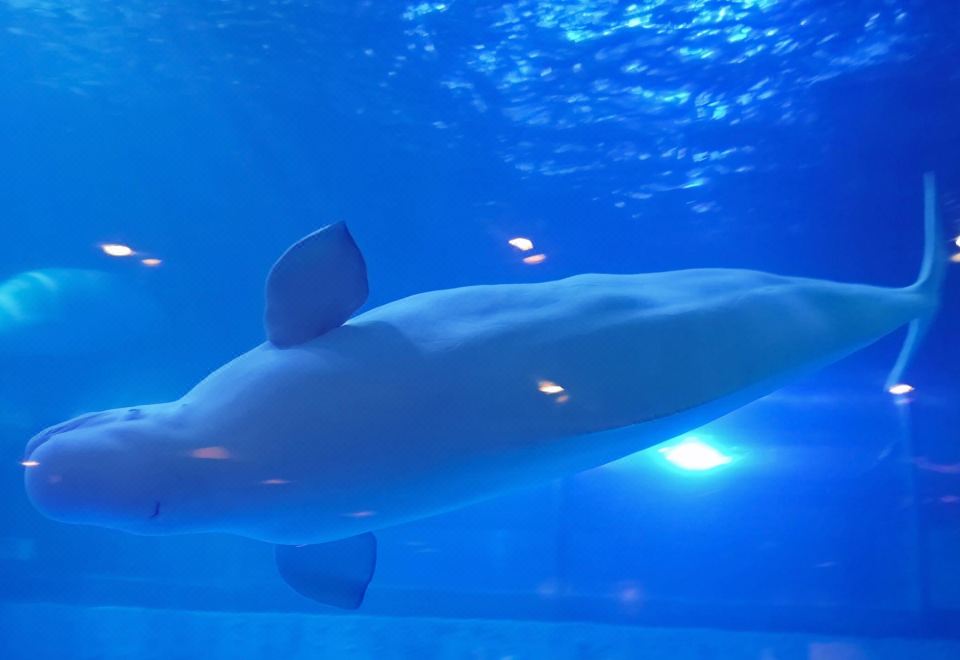 2. 이즈히 호텔 -..