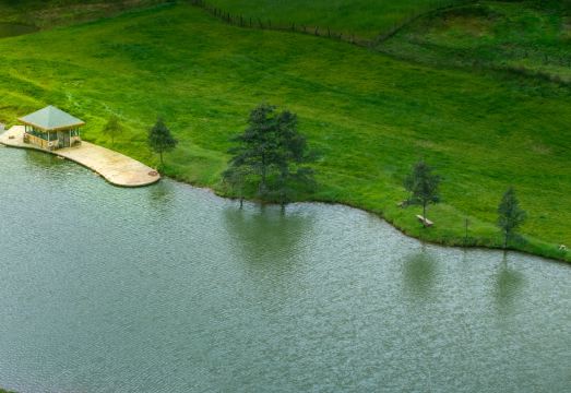 3. 타오화우•리장 ..