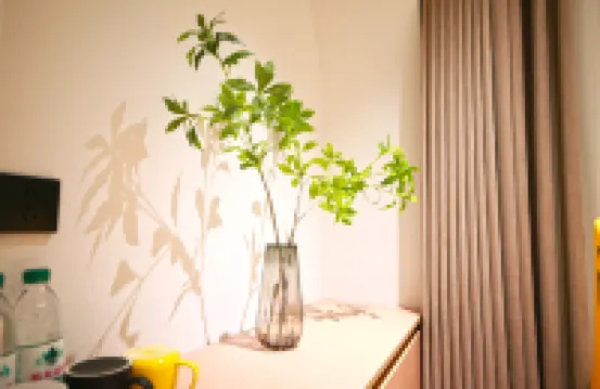 朴樹·四季飯店（安順古城顧府街店） 安順住宿飯店