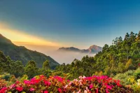 チャンディーズ ドリズル ドロップス ムンナル トップ ステーション